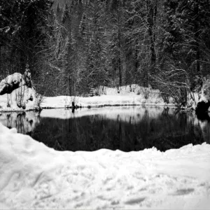 Paysage hivernale