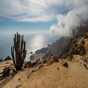 désert rencontant l'ocean, cactus au premier plan sur une falaise rocheuse et aride
